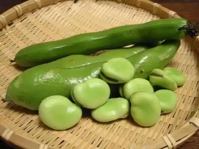 常吃的豆类食物有哪些