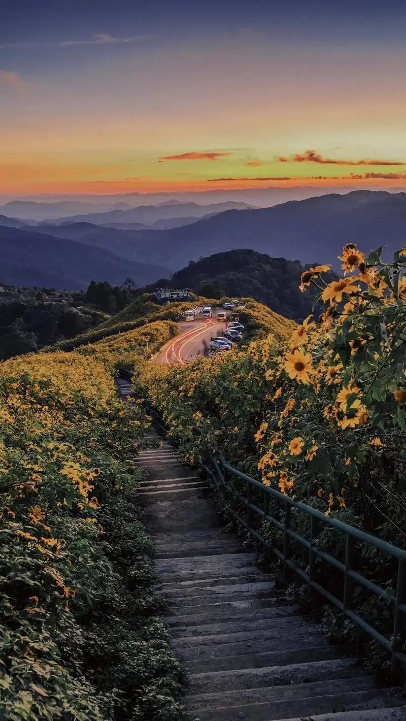 一眨眼就是四年前了  不信你听#壁纸#手机壁纸 #大自然美景 - 抖音