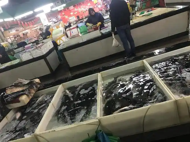 旺铺水产摊位急转,人流量巨大,生意很好!