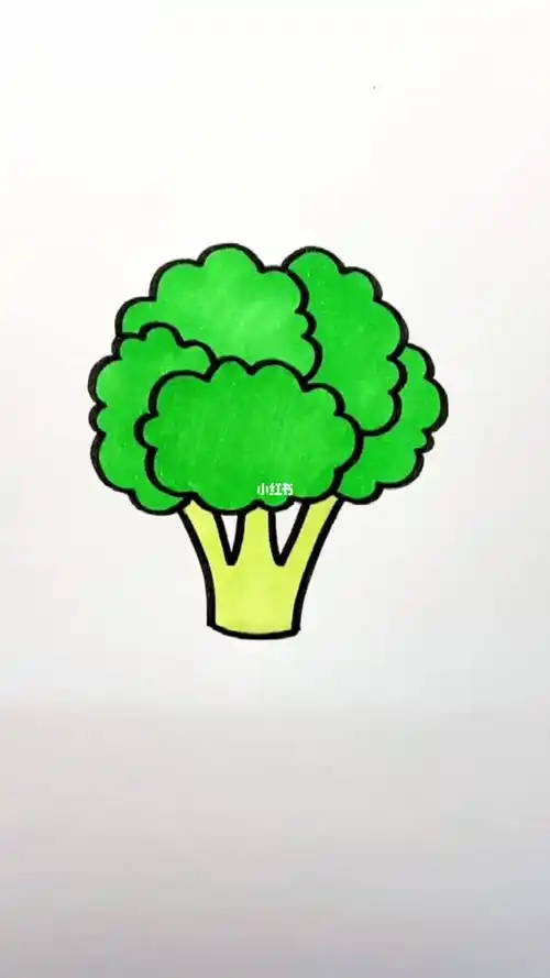 教你画一棵西兰花