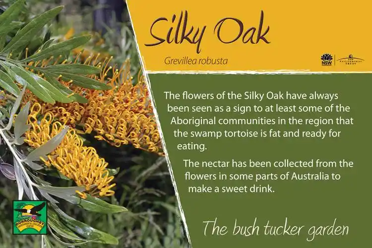 dorroughby bush tucker signs