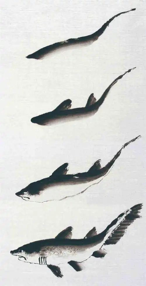 鱼的简单画法国画