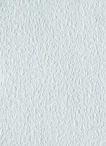 洛华佳系列 - 4551         洛华佳系列完美阐释了墙"纸"的概念