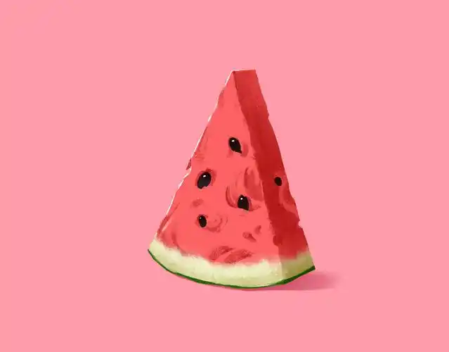 西瓜插画