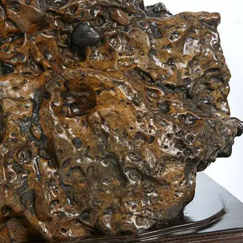 宜居品阁 广西天然奇石 红水河石观赏石 来宾水冲石 雄狮 yws7024