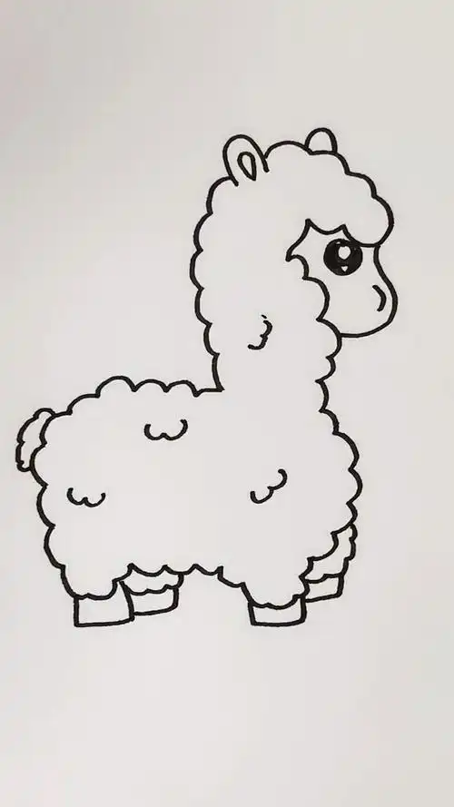 画羊驼 #动物简笔画