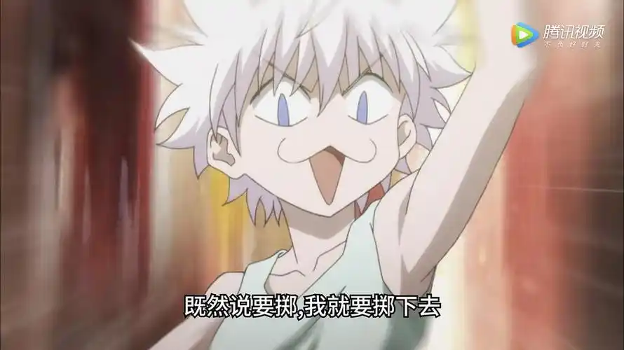 奇犽猫猫吸引你们注意力