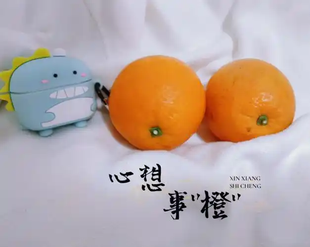 橙子让我玩心大起