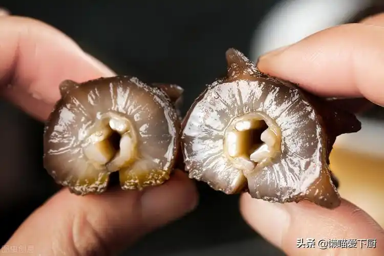 假海参(海参怎么分辨真假)