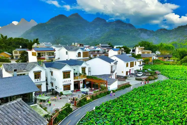 中渡镇乡村振兴三底色交织勾勒千年古镇新画卷