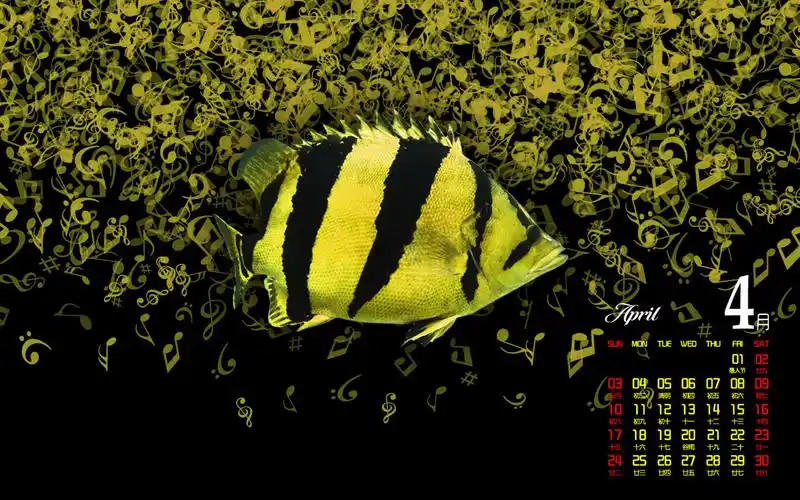 2011年4月份虎鱼,魟鱼,七彩,恐龙壁纸