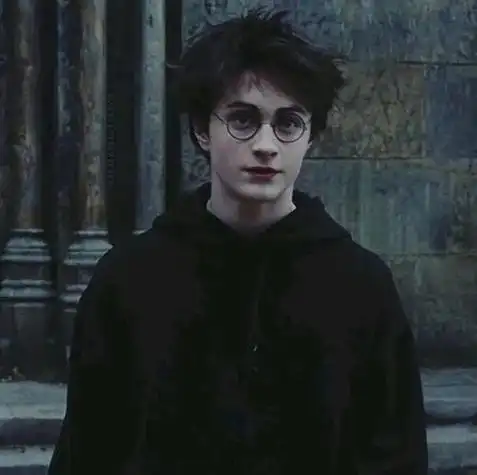 帅气的哈利波特头像