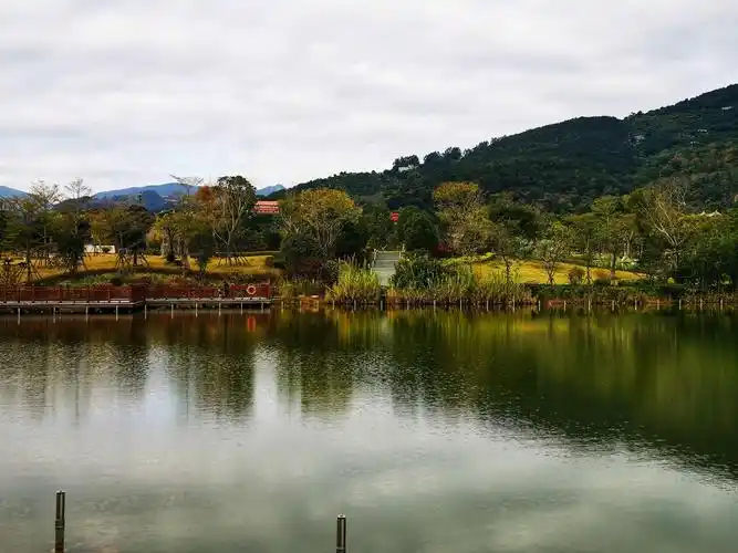 莆田南湖公园景色迷人 - 美篇