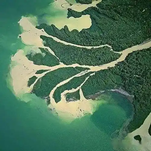 【地理拓展】世界著名三角洲大盘点,看看你知道几个?