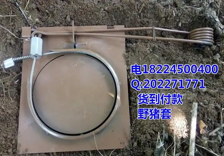 套怎麼放视频教程怎样用钢丝套套野猪狍子套的制作野猪钢丝绳吊套东北