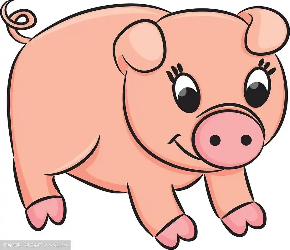 卡通猪
