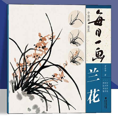 每日一画 兰花中国画技法国画入门基础教程书写意水墨画花鸟册页 工笔