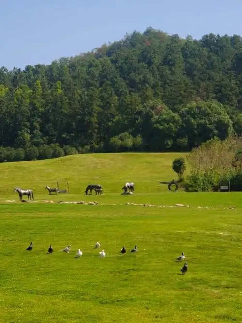 安吉中南百草园