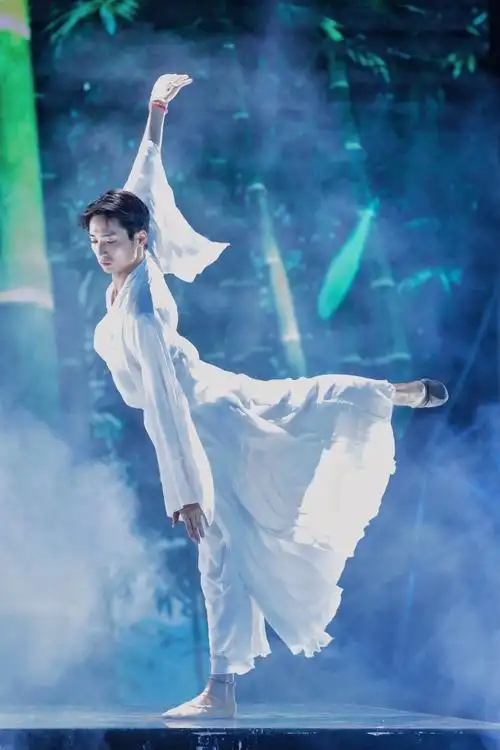 《舞者之巅——全明星gala》由曾担任湖南卫视《舞蹈风暴》舞蹈总监