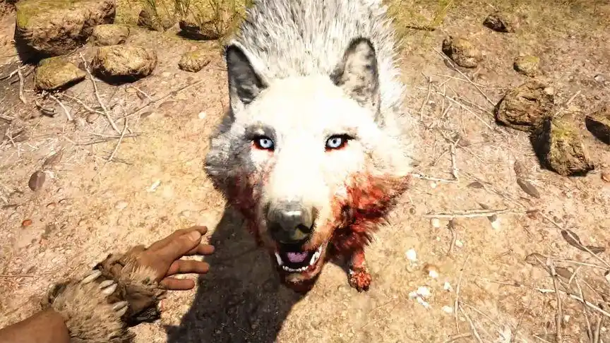 孤岛惊魂,原始杀戮34:驯化雪血狼,史前狼王有多厉害?