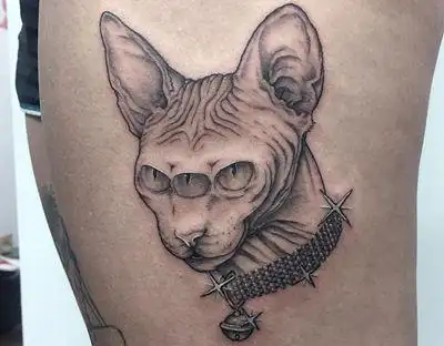 30张高清比鲁斯猫纹身图片