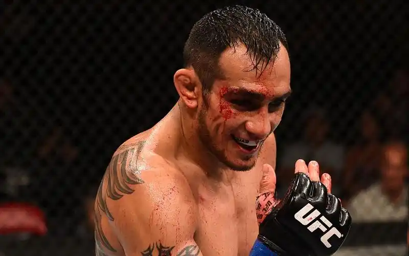 活动  【其名"夜魔"】托尼-弗格森的ufc十二连胜回顾【ufc249预热】