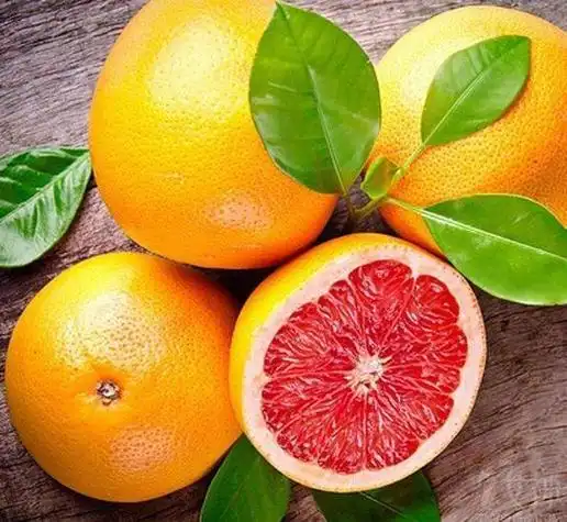 维生素c水果前十名