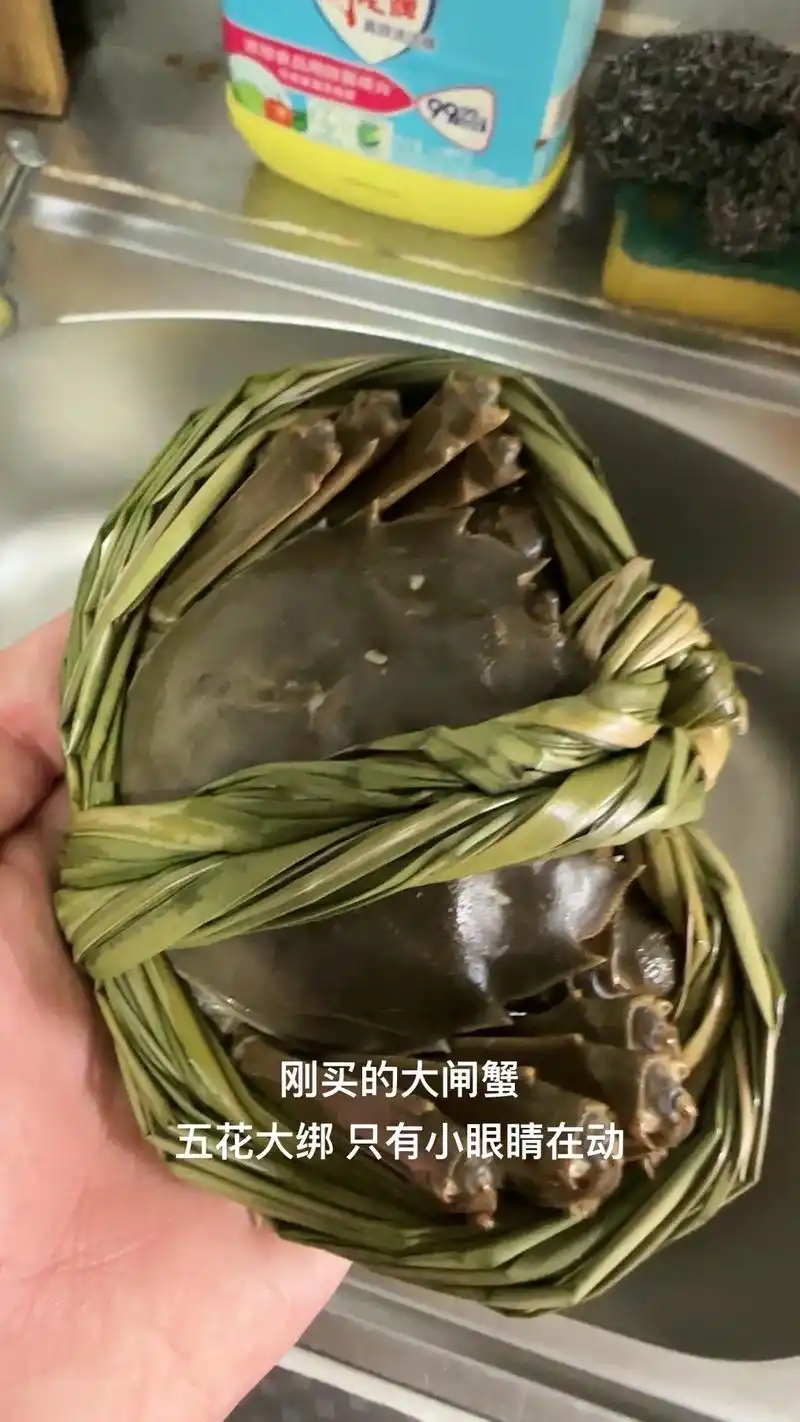大闸蟹绑绳的作用.#蒸螃蟹 - 抖音