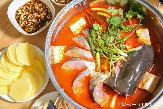 苗族最有特色的美食便是酸汤类的菜肴了,一锅酸汤鱼端上桌,酸辣味扑鼻