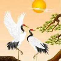 非常好看的仙鹤图片头像