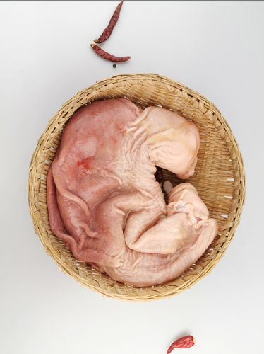 正宗土猪肚子一个净肚一斤生猪肉