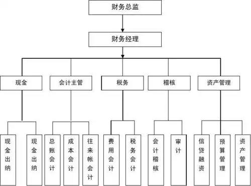 财务部岗位结构图