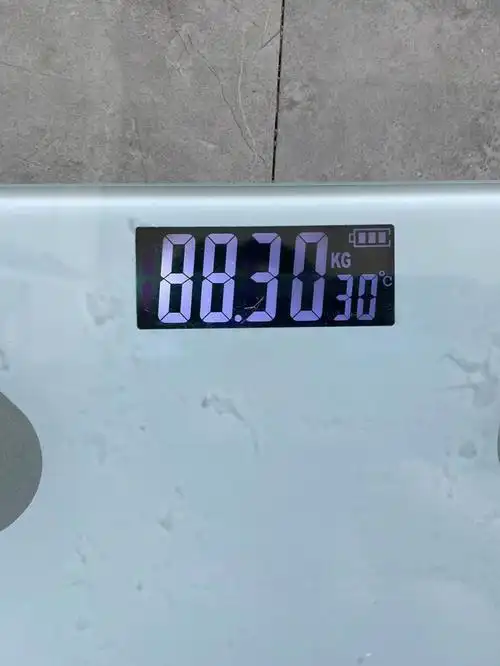 多囊女孩儿180斤减肥的第八天