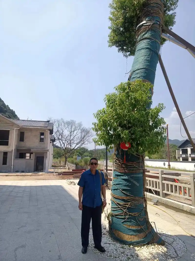 明友们晚上好今天我在靖安县旅游照片