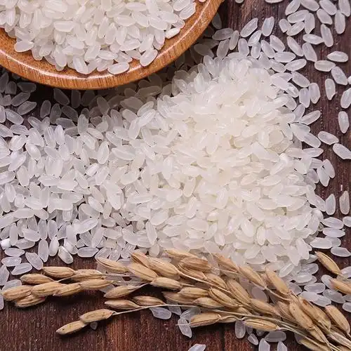 北大荒 东北大米 龙良长粒香米2.5kg