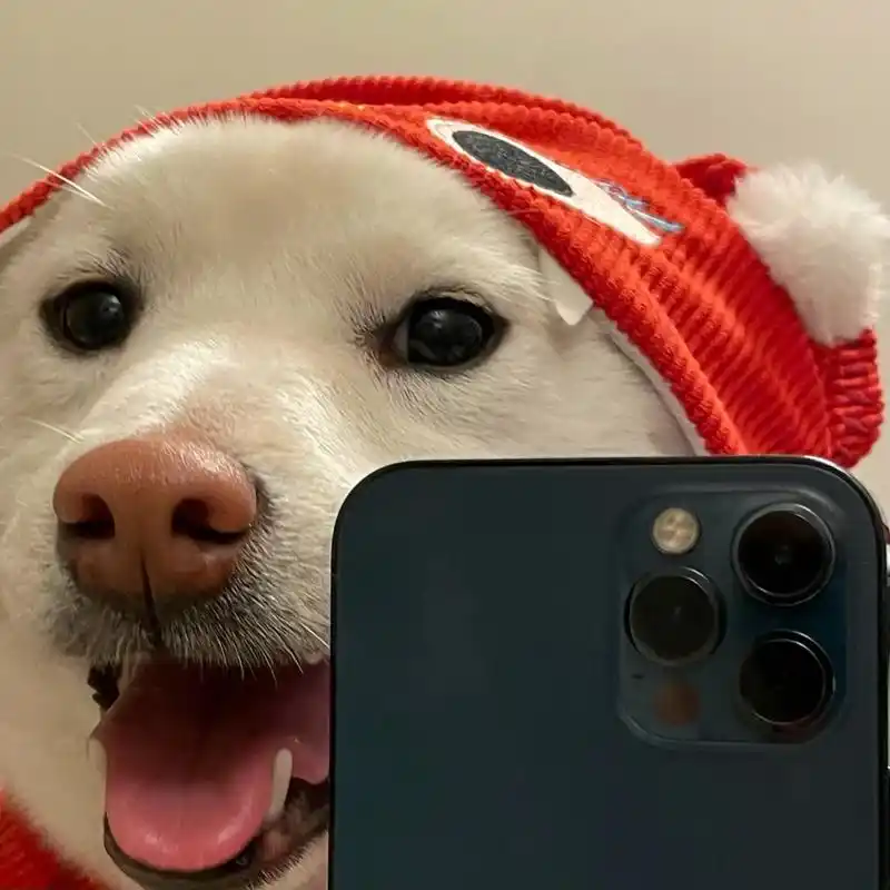 听说大佬都在用这种头像#大佬头像 #狗子 #优质头像  - 抖音