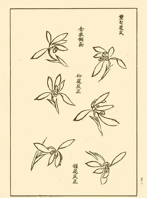 兰花 的笔法入门