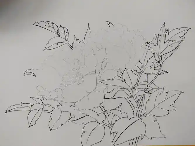 古风水彩花卉练习