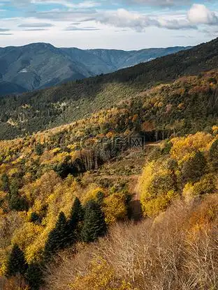 秋天的风景与山和美丽的彩色树木在森林里.