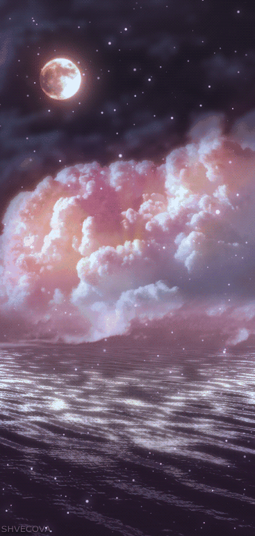 林白树『幻音』的直播间