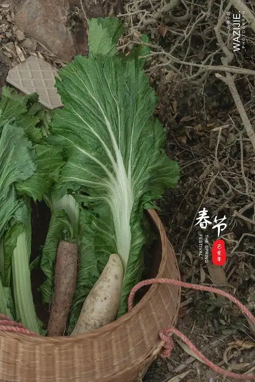 萝卜青菜 各有所爱