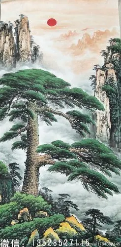 四尺万年青迎客松,#客厅办公室必备#  wbr>欢迎咨询  wbr>