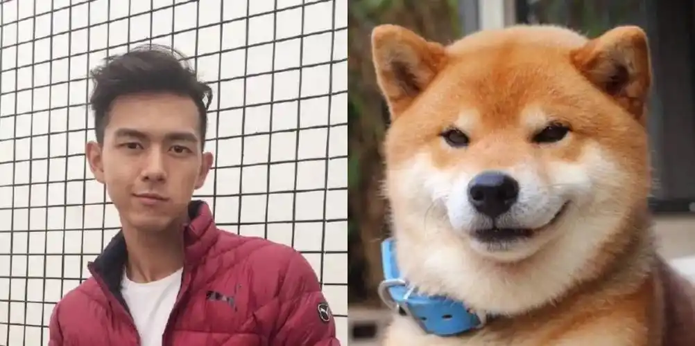 "柴犬男友"刘昊然04特点:国民初恋柴犬届扛把子最近开播的《恰好是