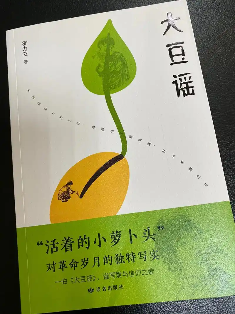 为《大豆谣》插图 - 抖音