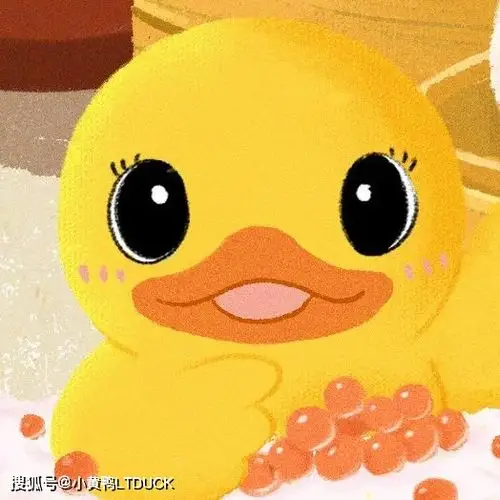 小黄鸭ltduck头像丨新的一年从换头像开始