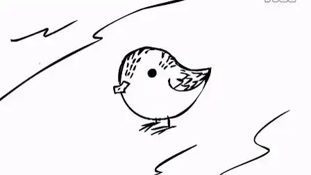 涂色动画-小小勺嘴鹬的迁徙历险