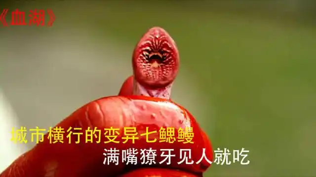 七鳃鳗鱼成精了,见人就吃,太恐怖了