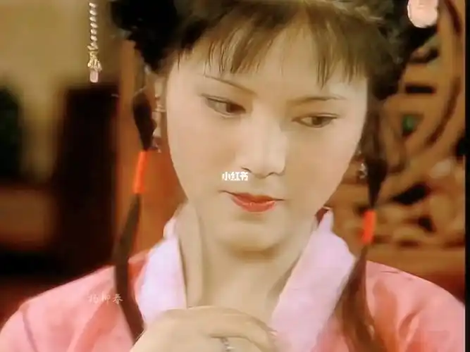 袭人这个角色把袁玫的美封印了一半