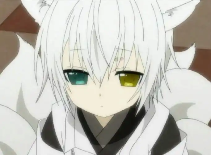 妖狐仆ss作者遗作新动画##二次元新鲜事