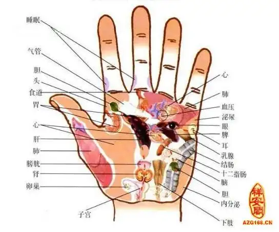 如何从掌纹上看出健康运_祥安阁手纹
